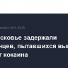 В Подмосковье задержали иностранцев, пытавшихся вывезти в ЕС 570 кг кокаина