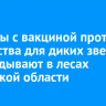 Брикеты с вакциной против бешенства для диких зверей раскладывают в лесах Иркутской области