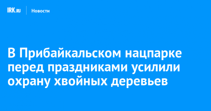 В Прибайкальском нацпарке перед праздниками усилили охрану хвойных деревьев