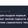 Росавиация выдала первый сертификат летной годности на беспилотник самолетного типа