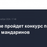 В Москве пройдет конкурс по очистке мандаринов