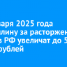 С 1 января 2025 года госпошлину за расторжение брака в РФ увеличат до 5 тысяч рублей