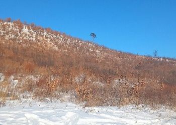 В Приамурье ослабнут морозы