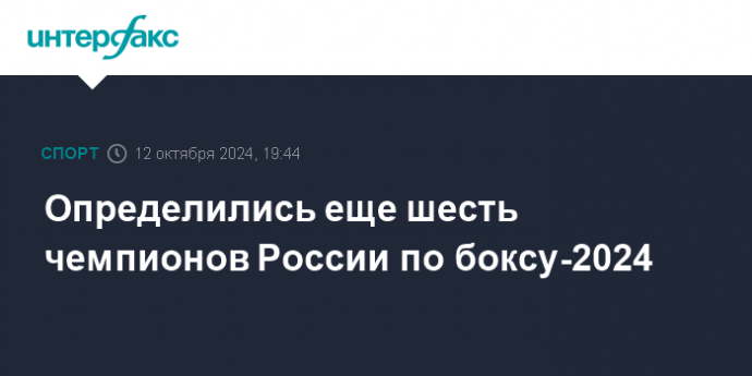 Определились еще шесть чемпионов России по боксу-2024