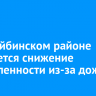 В Бодайбинском районе ожидается снижение задымленности из-за дождей