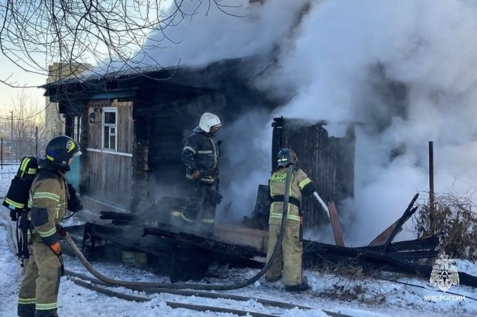 При пожаре в СНТ под Пензой погиб человек