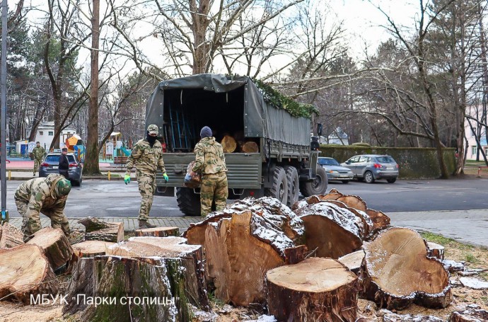 Дрова из симферопольского Детского парка отправили бойцам СВО