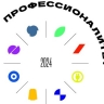 Представители Мордовии участвуют в финале Чемпионата «Профессионалы»