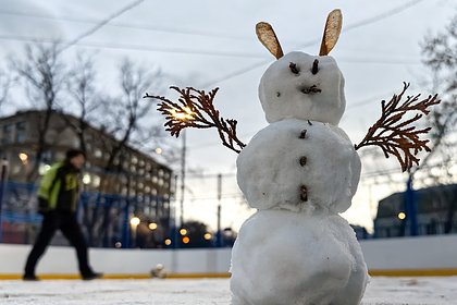 Москвичей предупредили об аномально теплой зиме