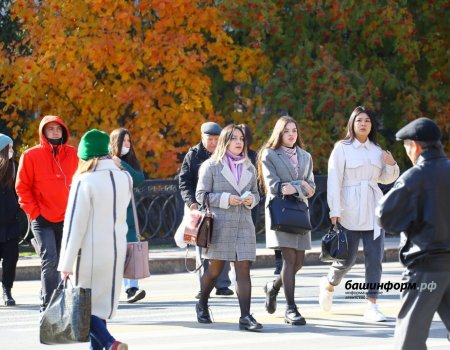 Стало известно, как в Уфе отметят День народного единства