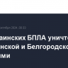 Три украинских БПЛА уничтожено над Брянской и Белгородской областями