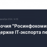 Полномочия "Росинфокоминвеста" по поддержке IT-экспорта переданы РФРИТ