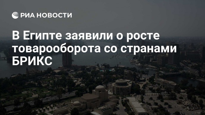 В Египте заявили о росте товарооборота со странами БРИКС