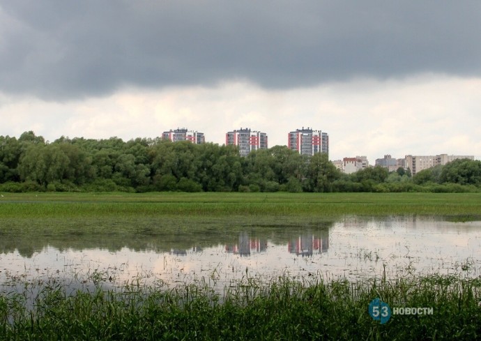 Погода для жителей Великого Новгорода, Боровичей и Старой Руссы с 12 по 18 августа