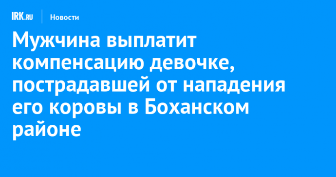 Мужчина выплатит компенсацию девочке, пострадавшей от нападения его коровы в Боханском районе