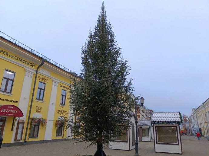 На Спасской поставили главную елку региона