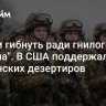 "Зачем гибнуть ради гнилого режима". В США поддержали украинских дезертиров