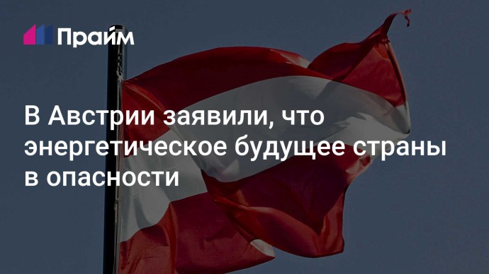 В Австрии заявили, что энергетическое будущее страны в опасности