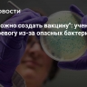 "Невозможно создать вакцину": ученый забил тревогу из-за опасных бактерий