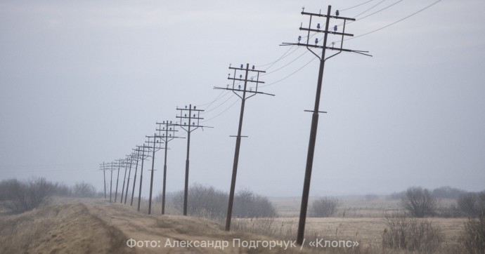 Под Калининградом ленивые фермеры засеяли сорняками 26 футбольных полей