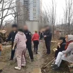 «Изъяли более 200 собак». В Приморье полиция устроила облаву на собачий приют