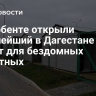 В Дербенте открыли крупнейший в Дагестане приют для бездомных животных