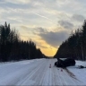 Два человека погибли в ДТП в Усть-Илимском районе при лобовом столкновении