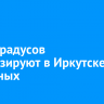 До -6 градусов прогнозируют в Иркутске на выходных