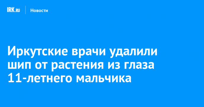 Иркутские врачи удалили шип от растения из глаза 11-летнего мальчика