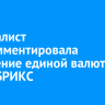 Специалист прокомментировала внедрение единой валюты стран БРИКС