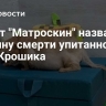 Приют "Матроскин" назвал причину смерти упитанного кота Крошика