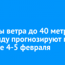 Порывы ветра до 40 метров в секунду прогнозируют на Байкале 4-5 февраля