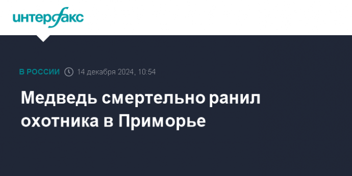 Медведь смертельно ранил охотника в Приморье