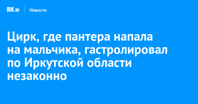 Цирк, где пантера напала на мальчика, гастролировал по Иркутской области незаконно