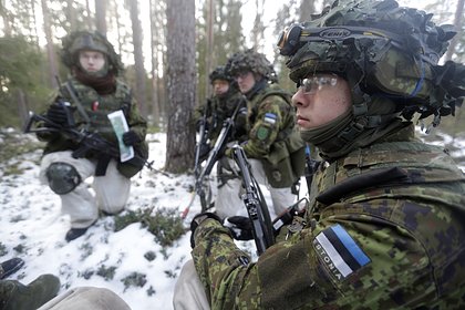 В Эстонии предложили направить военные силы на Украину при одном условии