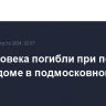 Два человека погибли при пожаре в жилом доме в подмосковной Лобне