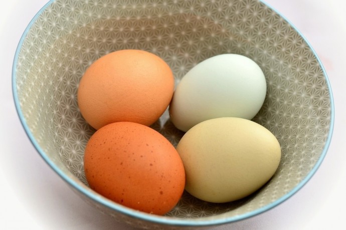 Германия — Почему исчезли коричневые яйца