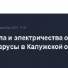 Без тепла и электричества осталась часть Тарусы в Калужской области