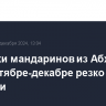 Поставки мандаринов из Абхазии в РФ в октябре-декабре резко выросли