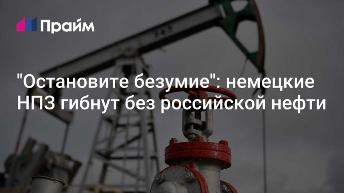 "Остановите безумие": немецкие НПЗ гибнут без российской нефти