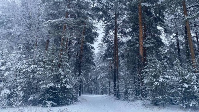 ​В Пермском крае спасли четырех туристов