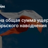 Названа общая сумма ущерба от сентябрьского наводнения в Чехии