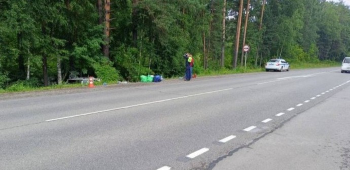 «Лексус» слетел с дороги и врезался в дерево возле села Усть-Муны