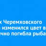 В реках Черемховского района изменился цвет воды и частично погибла рыба