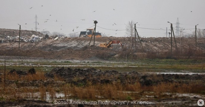 Калининградское минприроды — против закрытия свалки в Барсуковке на границе с Литвой