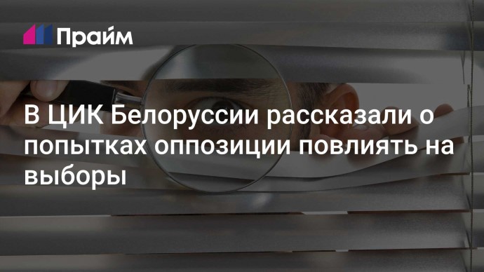 В ЦИК Белоруссии рассказали о попытках оппозиции повлиять на выборы