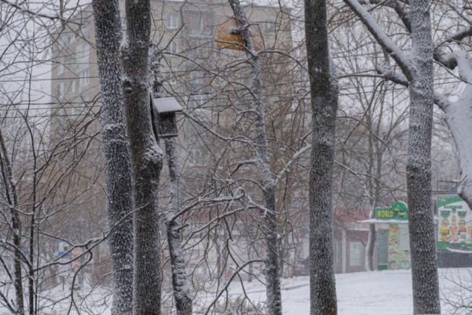 Похолодает до -13°C. Озвучен прогноз погоды на ближайшие сутки в Приморье