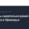 Медведь смертельно ранил охотника в Приморье