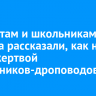 Студентам и школьникам Братска рассказали, как не стать жертвой мошенников-дроповодов