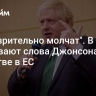 "Подозрительно молчат". В Киеве оценивают слова Джонсона о членстве в ЕС